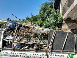 Best Construction Debris Removal  in Greensboro, GA